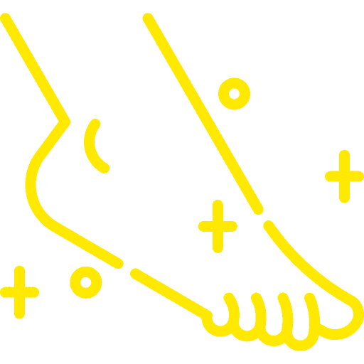 Our Services Top Notch